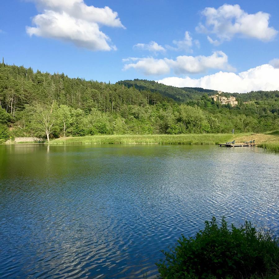 Agriturismo Vinci Gaiole in Chianti Kültér fotó